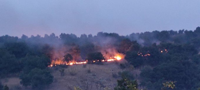 ОГНЕН АД: Военни се включат в гасенето на пожара край хасковското село Брягово