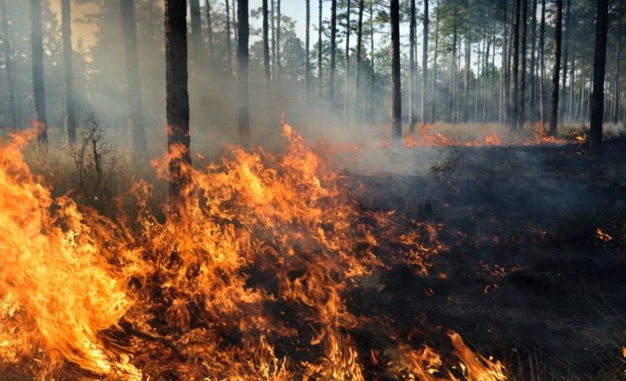 Голям пожар в Кочани, Северна Македония поиска помощ за гасенето от България