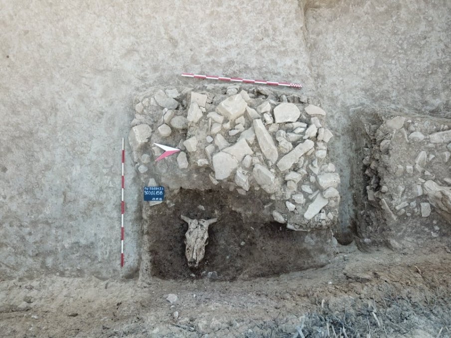 Откриха късно номадски некропол в подножието на крепостта Ряховец