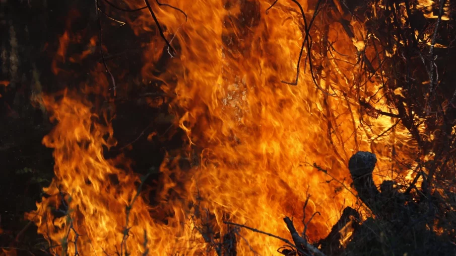 КОШМАР КРАЙ САНДАНСКИ: Пожар погълна група горски служители, дошли да гасят