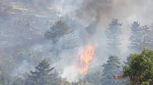 Разкриха ги: Три момичета и момче запалили пожара край Велинград при игра с кибрит