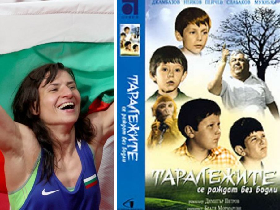 ГРОЗЕН СКАНДАЛ: БНТ 1 не излъчи шампионския мач на Стойка Кръстева заради Таралежите се раждат без бодли