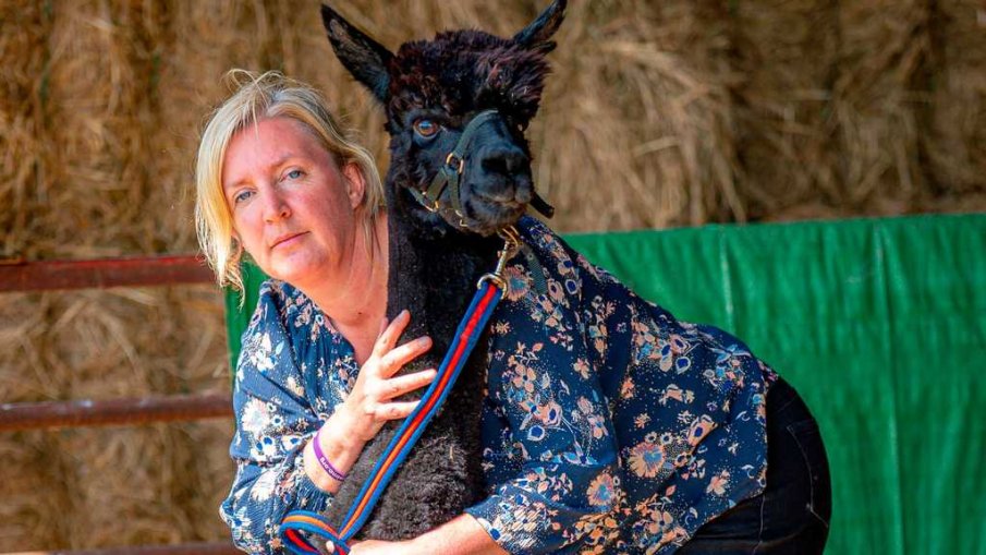 Активисти протестират под носа на Борис Джонсън заради алпака, болна от туберкулоза (ВИДЕО)