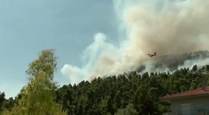 Стотици евакуирани заради пожарите на остров Евия