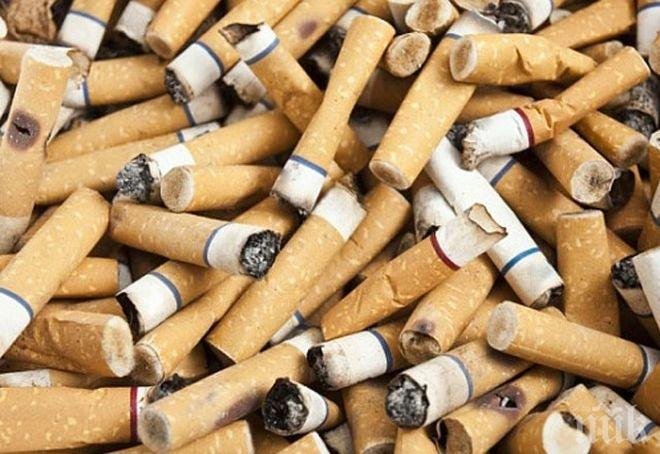 Учени от Нидерландия създадоха робот, който събира фасове