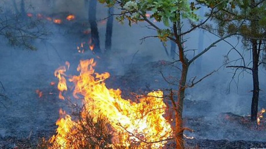 Пожар облиза бензиностанция в Радомир