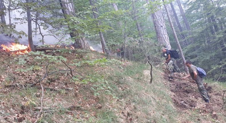 Продължава гасенето на пожара над село Югово в Родопите с участието на военнослужещи и вертолет на ВВС (СНИМКА)