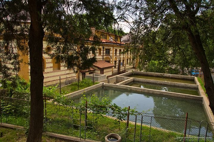 Ремонтират зоната около минералния извор в Кюстендил