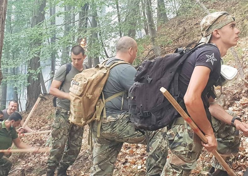 Голям пожар избухна между Хвойна и Чудните мостове в Родопите