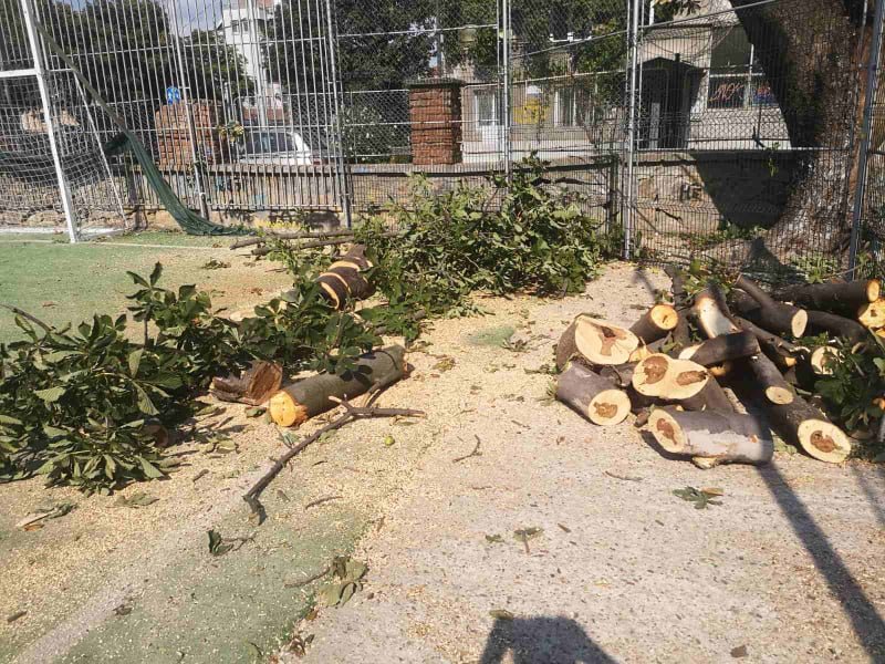 СКАНДАЛ В ПЛОВДИВ: Унищожиха игрище за хокей на трева (СНИМКИ)