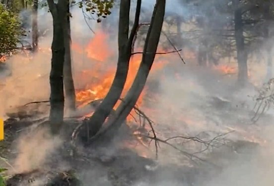 Военни за пореден ден се включват в гасенето на пожара край Югово