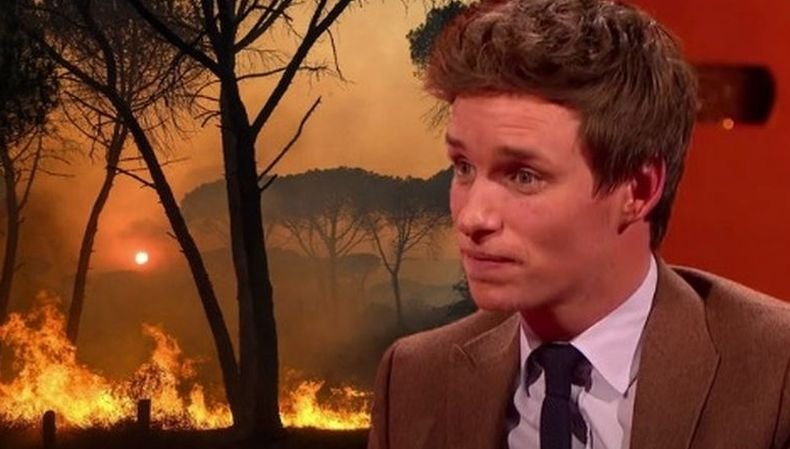 Пожар опустоши луксозната лятна вила на семейството на актьора Еди Редмейн