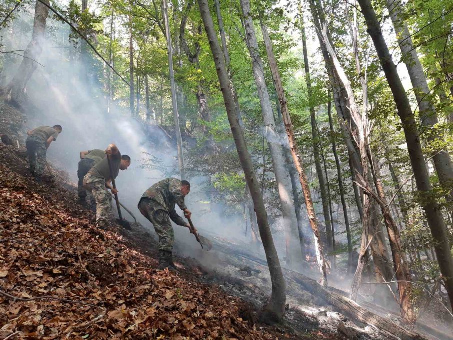 Два вертолета гасиха огнищата над Югово и Нареченски бани