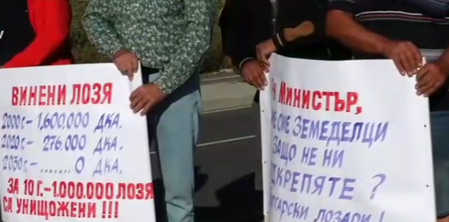 Напрежението срещу кабинета на Радев расте! Лозари блокираха пътя Поморие-Каменар заради цените на гроздето