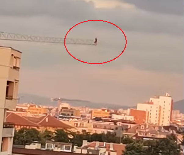 БЕЗУМИЕ: Мъж се покатери на кран, за да снима София (ВИДЕО)