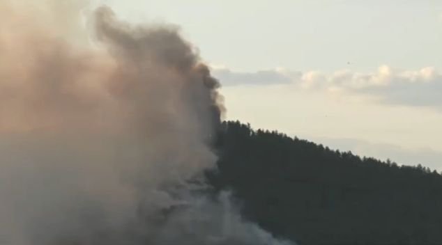 За пожара край Бобов дол виновните са неизвестни - а за разпространението?