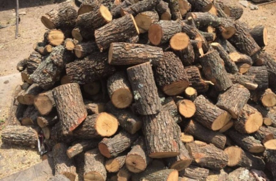 Заловиха бракониери на дърва от поречието на Тунджа