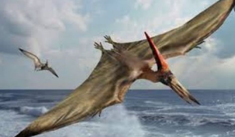 УНИКАЛНА НАХОДКА: Откриха най-стария динозавър в Африка