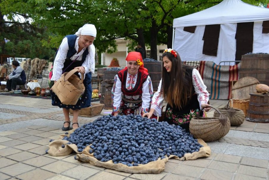 Отменят фестивала на синята слива в Троян