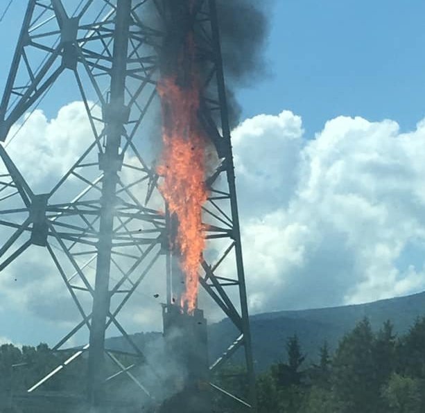 Паднало върху жици дърво запали пожар в Родопите