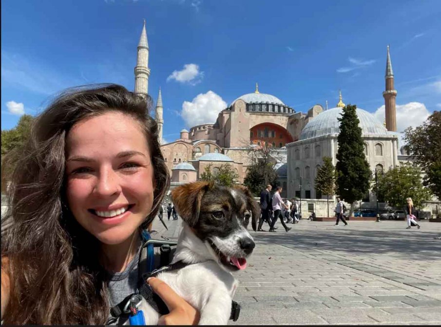 Бездомно свиленградско куче стигна до Света София в Истанбул