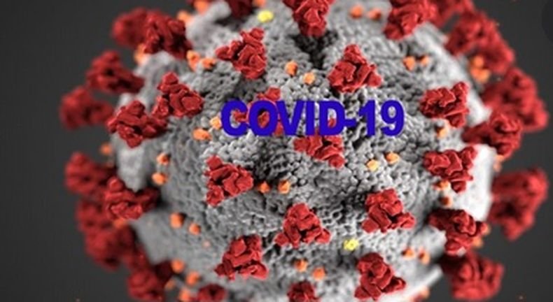 Над 14 700 новозаразени с коронавируса за денонощие в Бразилия