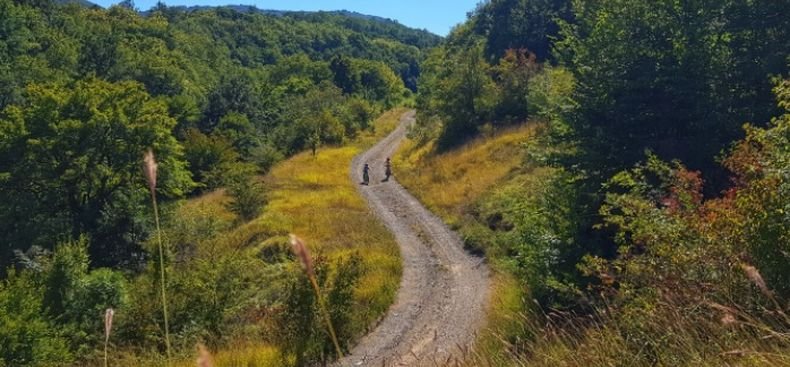 БТС постави над 20 табели за маркировка на основните пътеки в Люлин планина