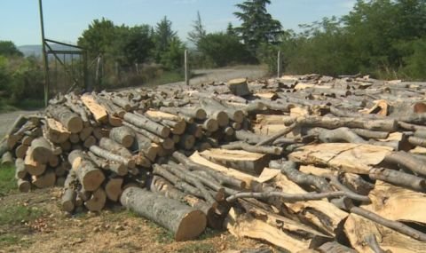 30% ръст на заявките за дърва за огрев