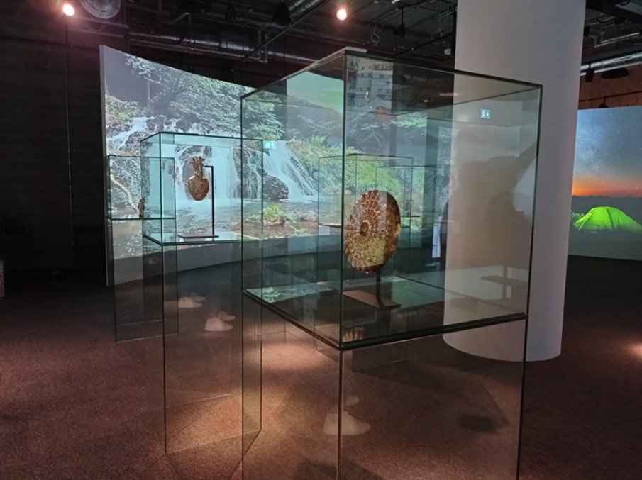 Копия на български златни съкровища са изложени в Дубай (СНИМКИ)