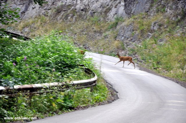 Пуснаха движението по пътя за Кръстова гора