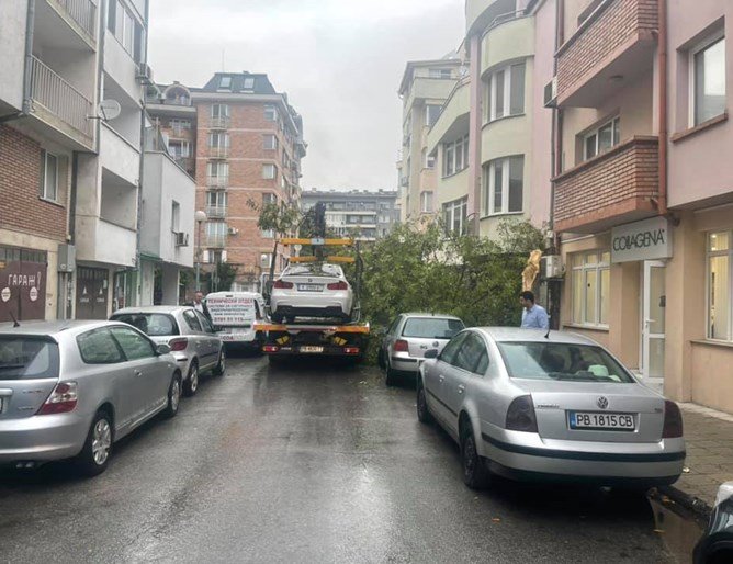 ОПАСЕН РЕЦИДИВ: Паяк в Пловдив събори дърво върху коли