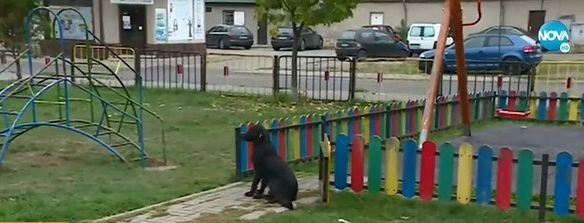 Детска площадка в Перник осъмна с чисто нови къщички за