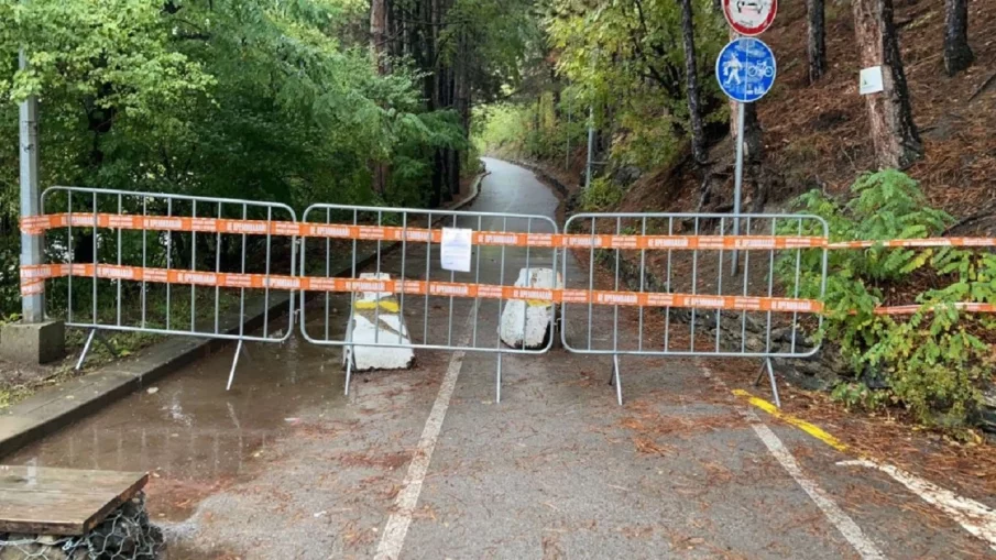 Срутище затвори алея край Панчаревското езеро