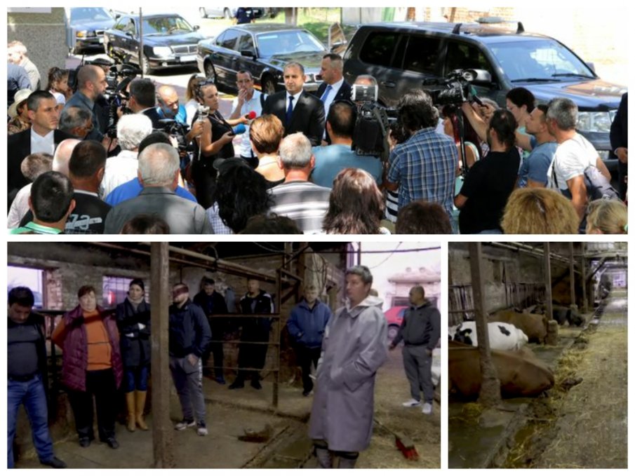 РАДЕВИЯТ ШОК! Животновъди алармират: Загиваме при скъпите фуражи и невъзможните цени на тока - до Нова година няма да има животни