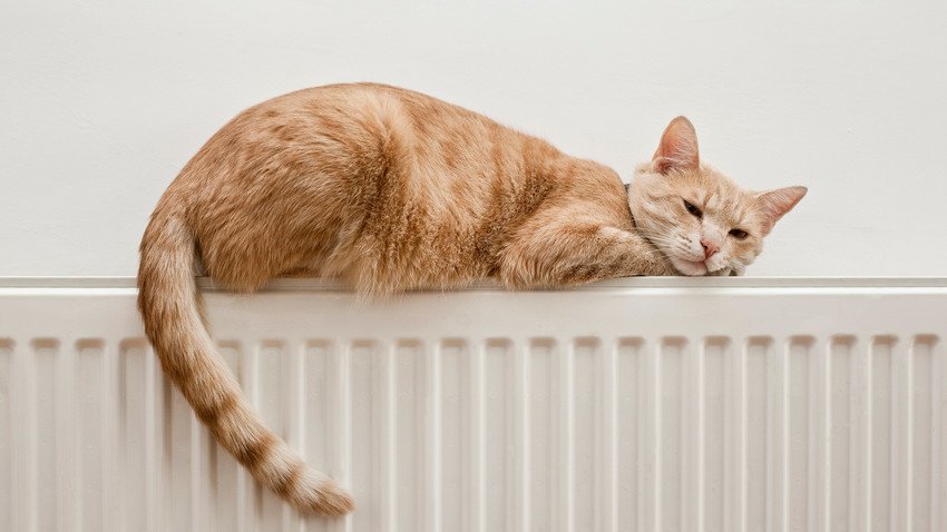 Защо е вредно да спим на пуснато парно