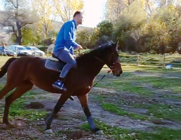 Тервел Пулев претърпя инцидент с кон (ВИДЕО)