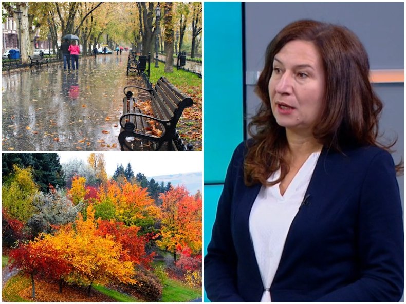 Сиромашко лято пред ноември: Очакват ни пролетни температури до 25 градуса