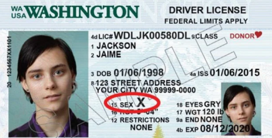 САЩ издадоха първия паспорт с полова принадлежност Х - нито мъж, нито жена