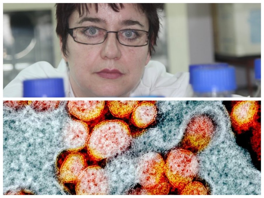 НЯМА КРАЙ! Проф. Маргарита Апостолова: СЗО следи по-заразния и убийствен щам А.30