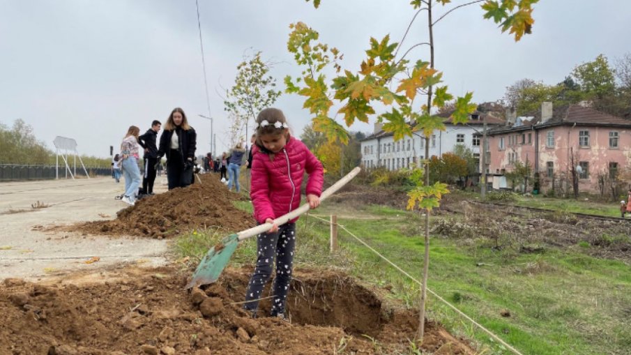 Облагородяват източната част на кейовата зона в Русе