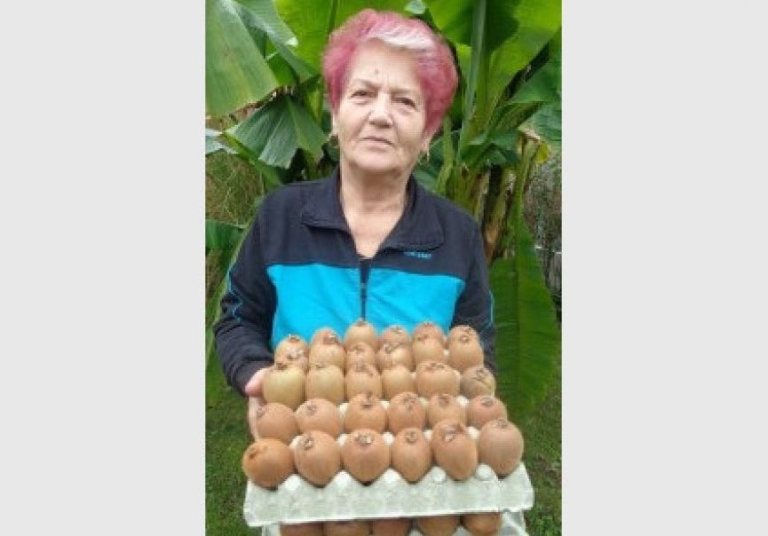 Народна певица отгледа 300 килограма киви