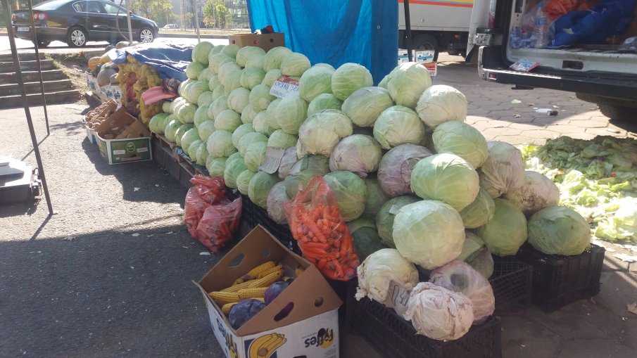 АКЦИЯ ЗИМНИНА: Зелето чукна 1,80 лв. за кило