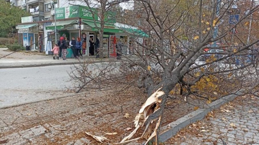 Шофьор избяга след катастрофа с трима ранени