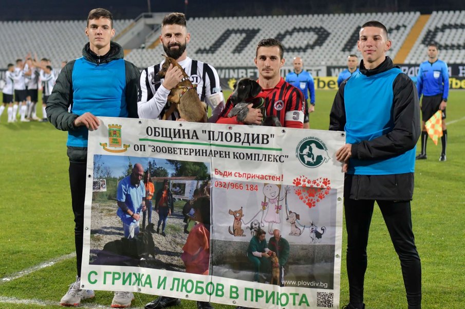 Футболистите на Локомотив (Пловдив) търсят стопани на бездомни кучета