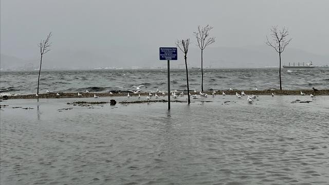 Потоп удави Истанбул