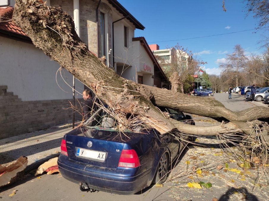 Силен вятър в Ямбол събори дървета и нанесе щети по коли
