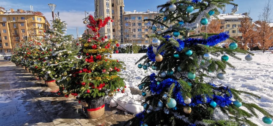 Магичните Елхи на таланта грейнаха за трета година в центъра на София