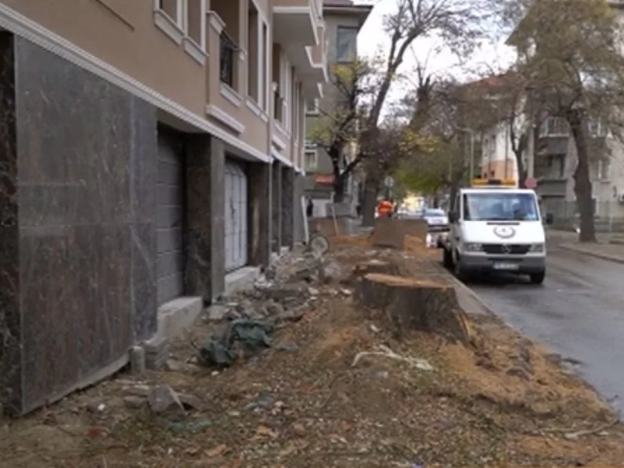 БРУТАЛНО: Отрязаха дърветата пред новопостроена сграда в Пловдив