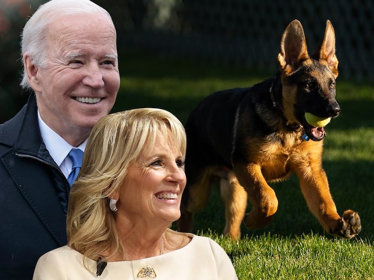 Президентът Джо Байдън представи новото си куче Къмандър (Командир) -