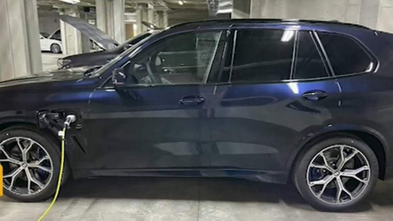 Оставиха в ареста Бабичката, който задигна джипа на Плевнелиеви